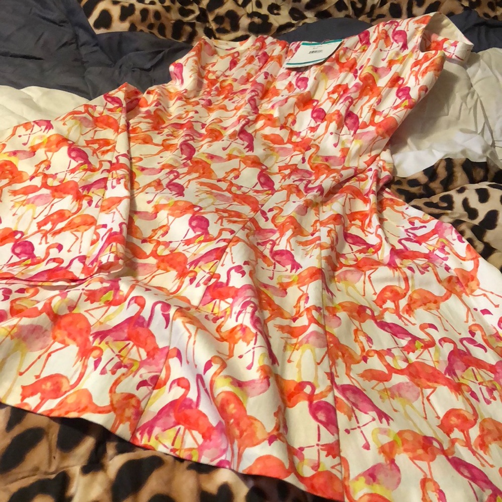 Pappagallo dress